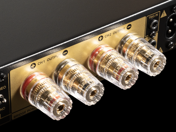 Close-up of audio cable connectors on a black and gold electronic device.