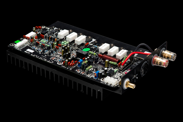 Photo of the XPA GEN3 Module's PCB and input and output terminals